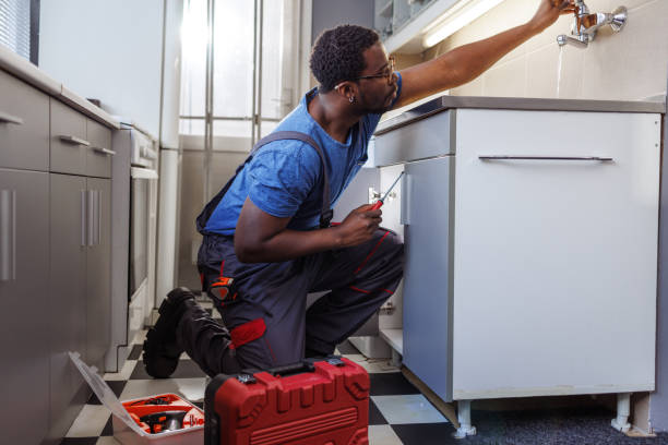 Best Local Plumber Services  in Menasha, WI
